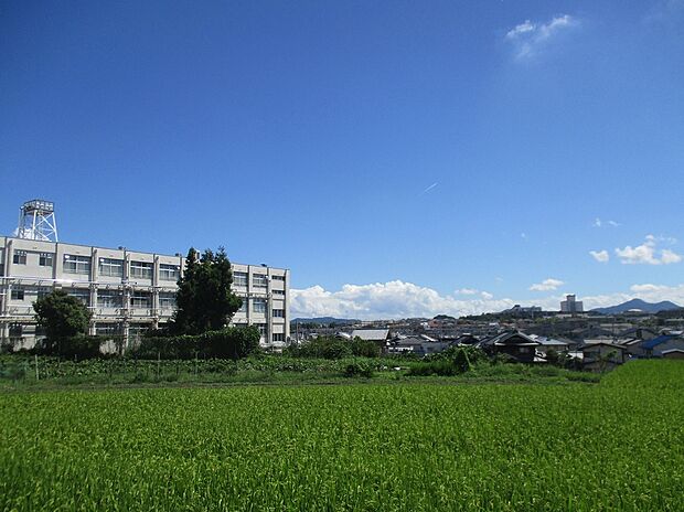 羽曳野市立丹比小学校(約640m)