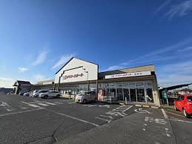 デイリーカナート新家店(約1,700m)