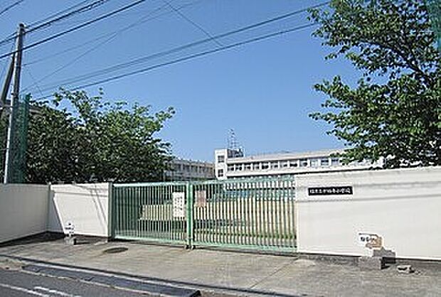 堺市立少林寺小学校(約210m)