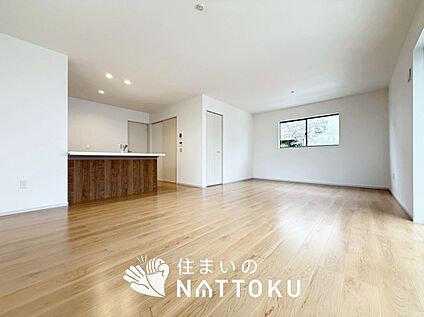 現地写真（リビング）