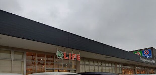 ライフ枚方大橋店(約1,300m)