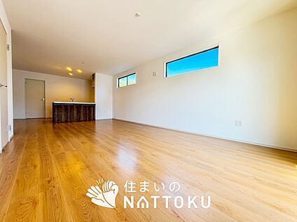 現地写真（リビング）