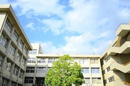 宇治市立広野中学校 750ｍ(徒歩10分)