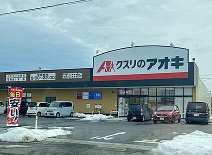 クスリのアオキ五個荘店 2900ｍ(徒歩37分)