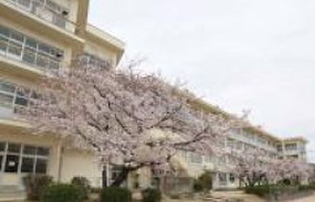 富田林市立金剛中学校(約970m)