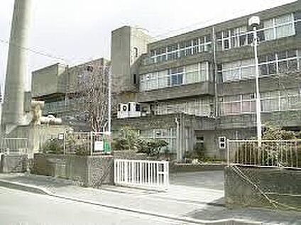 八尾市立桂中学校 1034ｍ(徒歩13分)