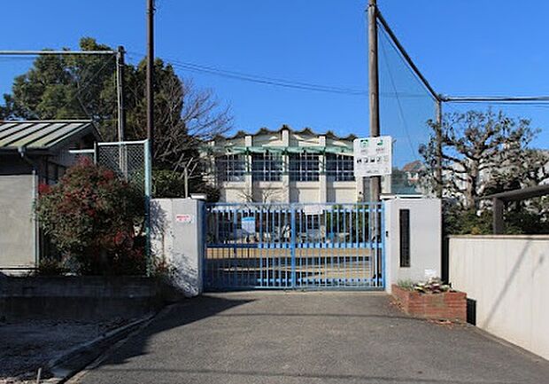 富田林市立錦郡小学校(約500m)