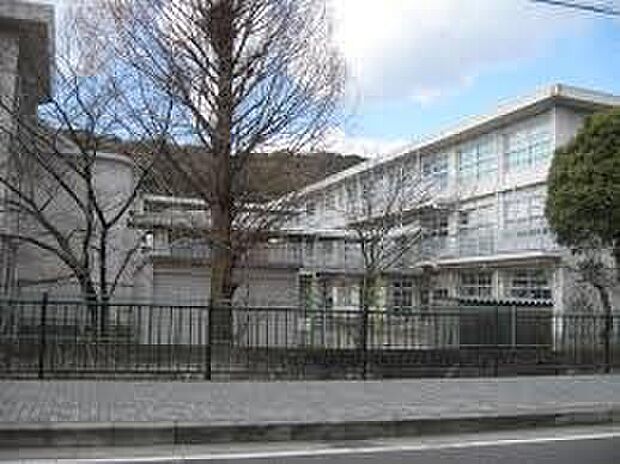 八幡市立八幡小学校（約1,400m）