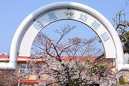 認定こども園ふなお幼稚園 370ｍ(徒歩5分)