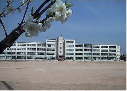 八尾市立高美中学校 1300ｍ(徒歩17分)