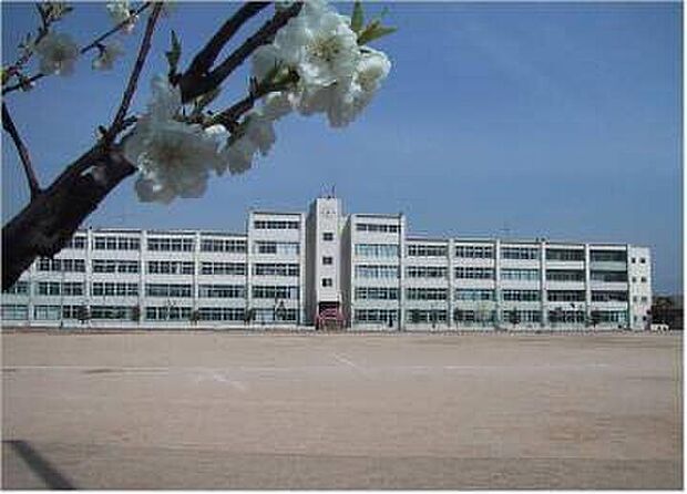 八尾市立高美中学校(約1,300m)