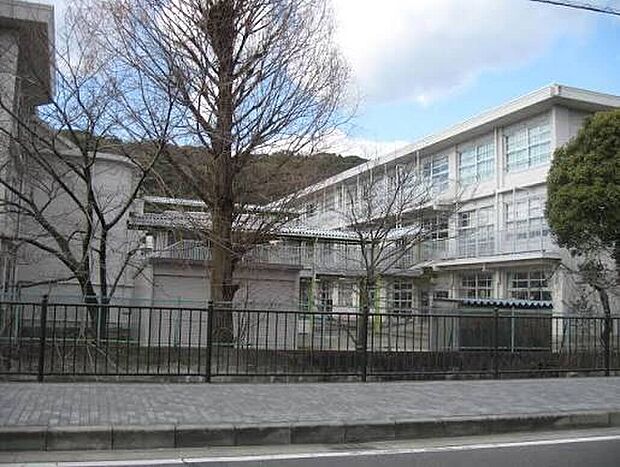 八幡市立八幡小学校(約1,300m)