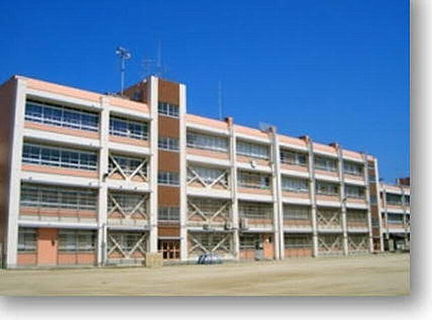 高石市立羽衣小学校(約270m)