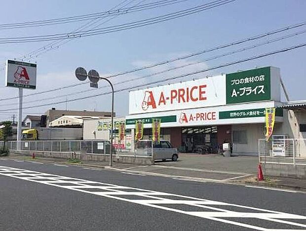 Aプライス堺店(約750m)