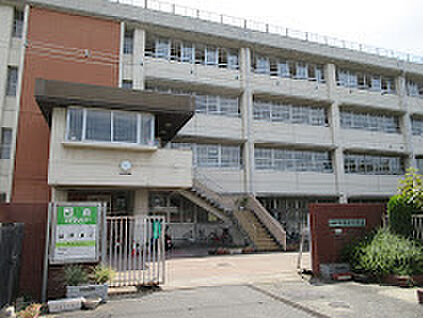 柏原市立玉手中学校 100ｍ(徒歩2分)