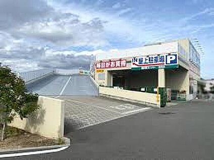 業務スーパー鳥飼店 880ｍ(徒歩11分)