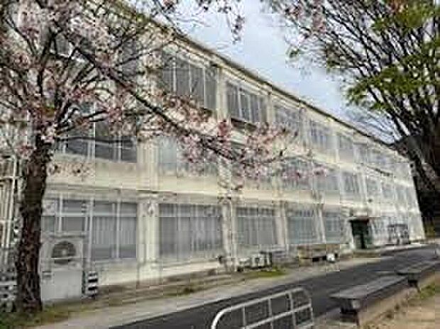 京都市立醍醐中学校（約2,300m）