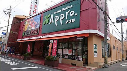 食品館アプロ岡店 1200ｍ(徒歩15分)