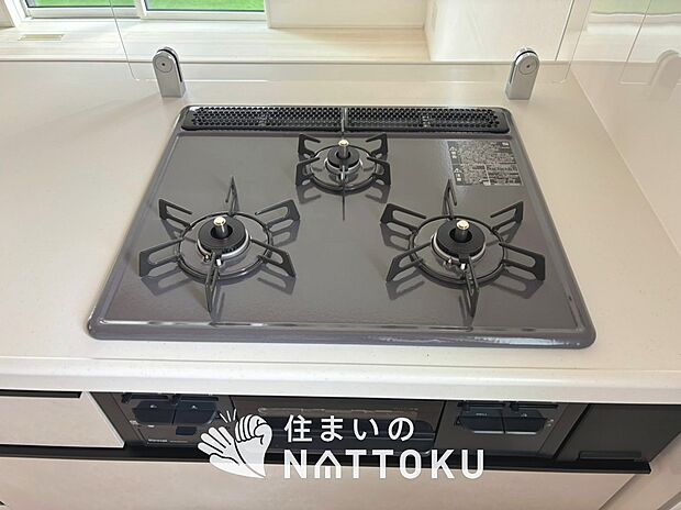 【浄水器内臓ハンドシャワー付シンク】広々とした凸型シンクに洗剤ポケットを標準装備。すっきり収納できます。
また、蛇口の先端に浄水器を内蔵しているため場所をとりません。

