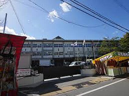 亀岡市立亀岡小学校 1000ｍ(徒歩13分)