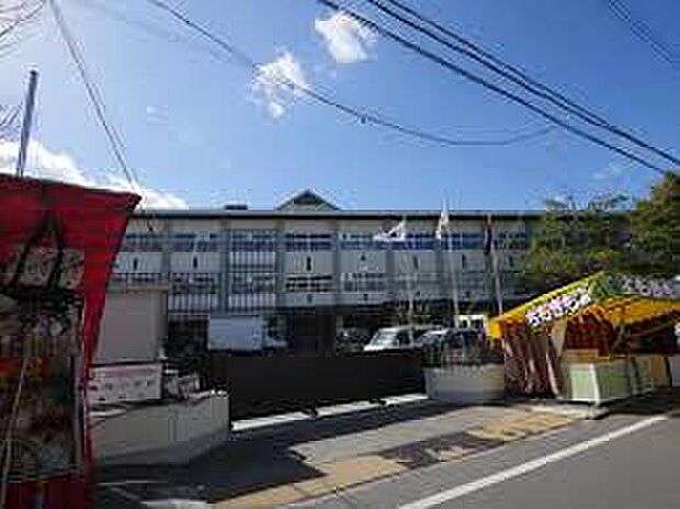 亀岡市立亀岡小学校(約1,000m)