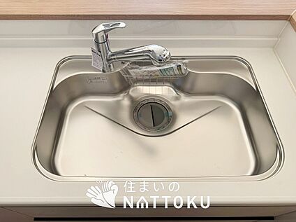 浄水器内臓ハンドシャワー付シンク