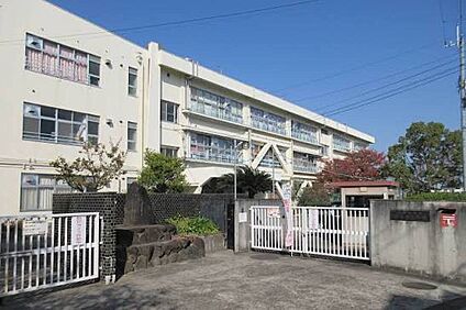 羽曳野市立古市南小学校 890ｍ(徒歩12分)
