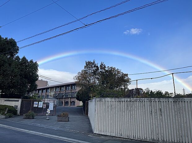 向日市立第6向陽小学校（約480m）