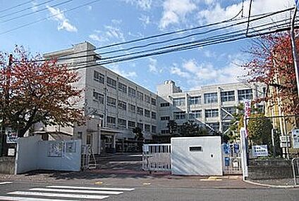 高槻市立郡家小学校 110ｍ(徒歩2分)