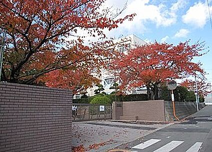 高槻市立第二中学校 700ｍ(徒歩9分)