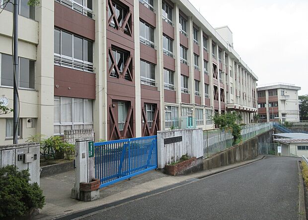 柏原市立旭ケ丘小学校（約670m）