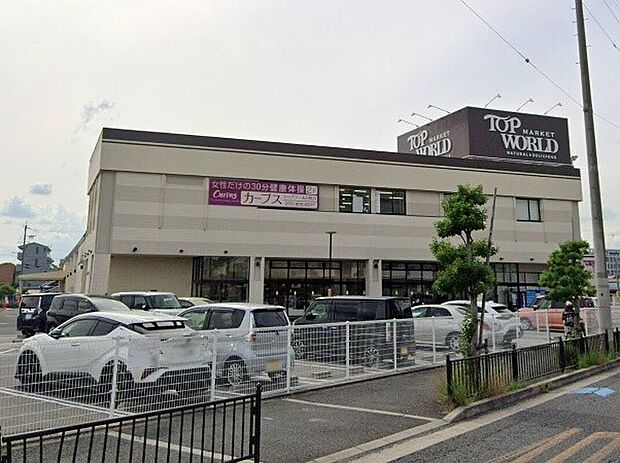 トップワールド枚方店（約710m）