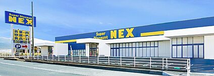 NEX岩出中迫店 1300ｍ(徒歩17分)