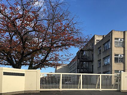 校羽曳野市立河原城中学校 730ｍ(徒歩10分)