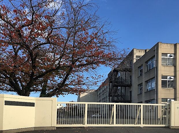 校羽曳野市立河原城中学校(約730m)