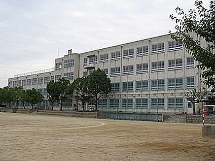 堺市立登美丘中学校 250ｍ(徒歩4分)