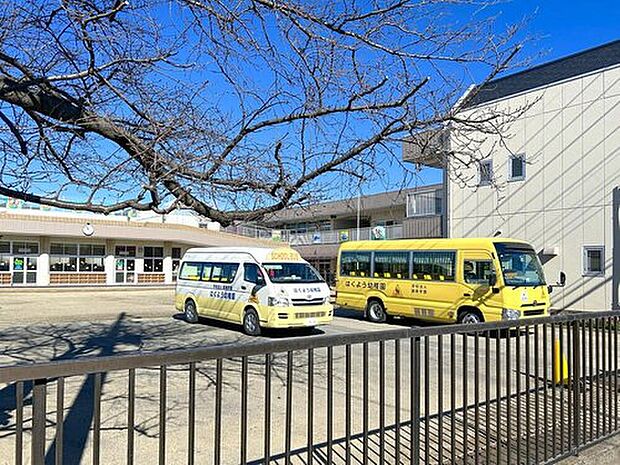 柏陽幼稚園（約475m）