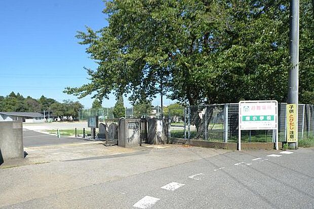 四街道市立南小学校(約650m)