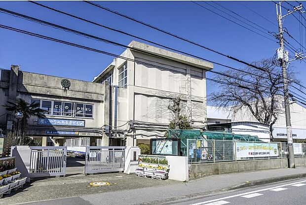  高柳小学校（約10m）