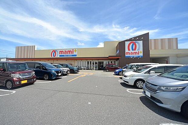 マミープラス柏根戸店（約650m）