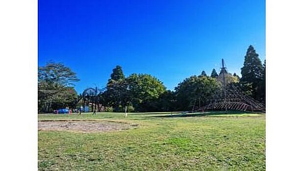 千葉市昭和の森(約2,300m)