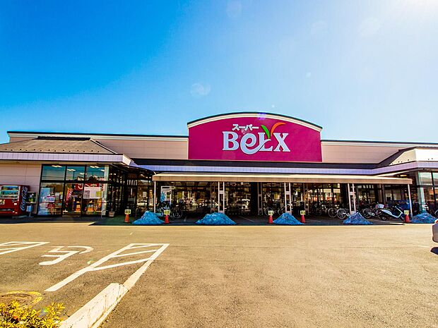 ベルクス岩槻城北店（約1,200m・徒歩15分）