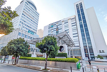 ポラスの分譲住宅 リーズン 松戸 エヴァースリビング その他