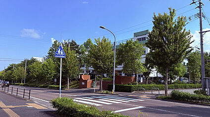 太白小学校 311m