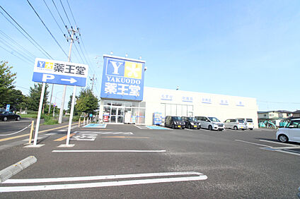 薬王堂仙台袋原店 890m