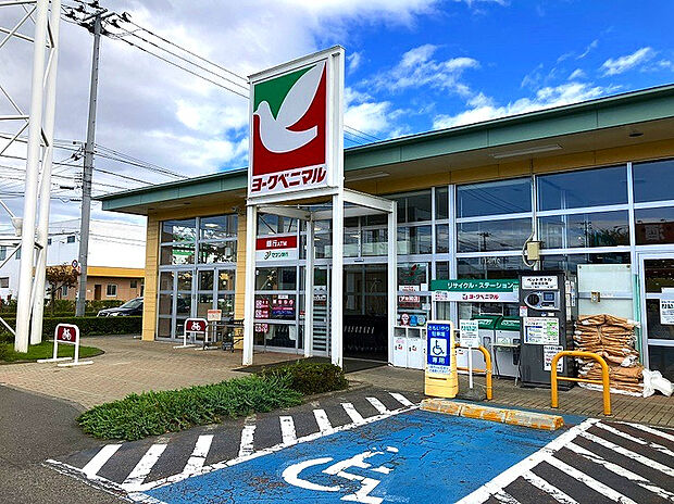 ヨークベニマル荒井店（約235m）