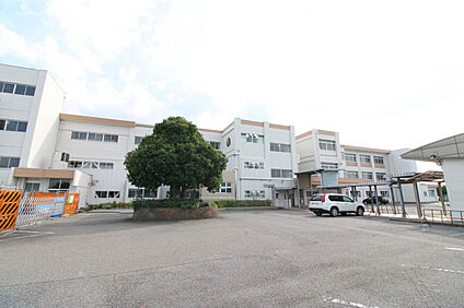 高橋中学校 377m