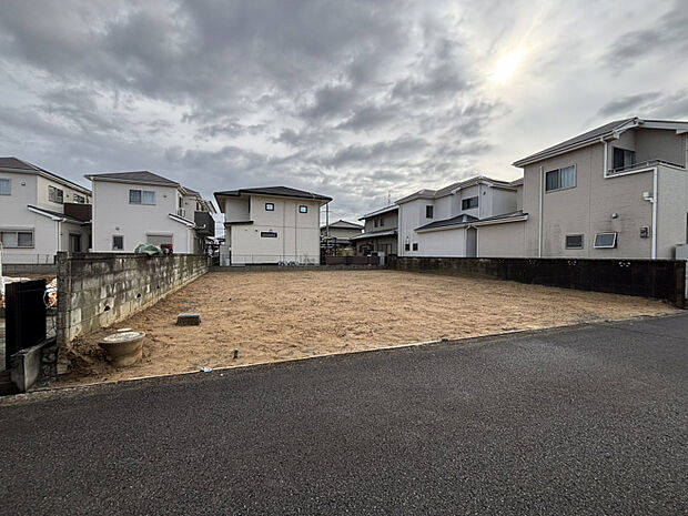 2025年11月中旬撮影