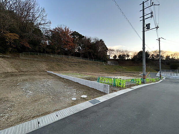 2025年12月中旬撮影　