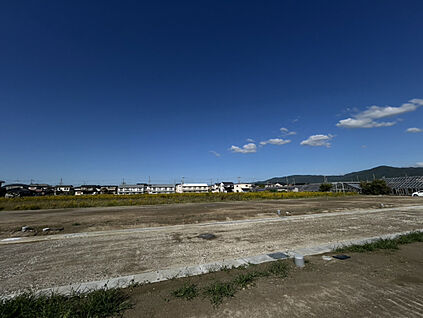 2025年10月中旬現地撮影